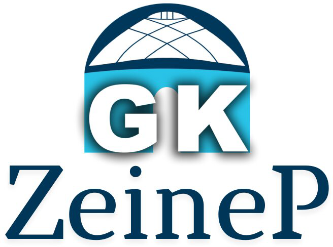 ZeineP